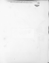Hyponectria contecta image